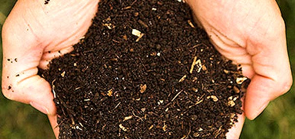 Creación de compost